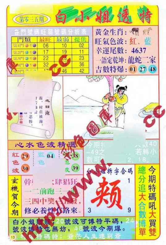 035期白小姐透特[图]