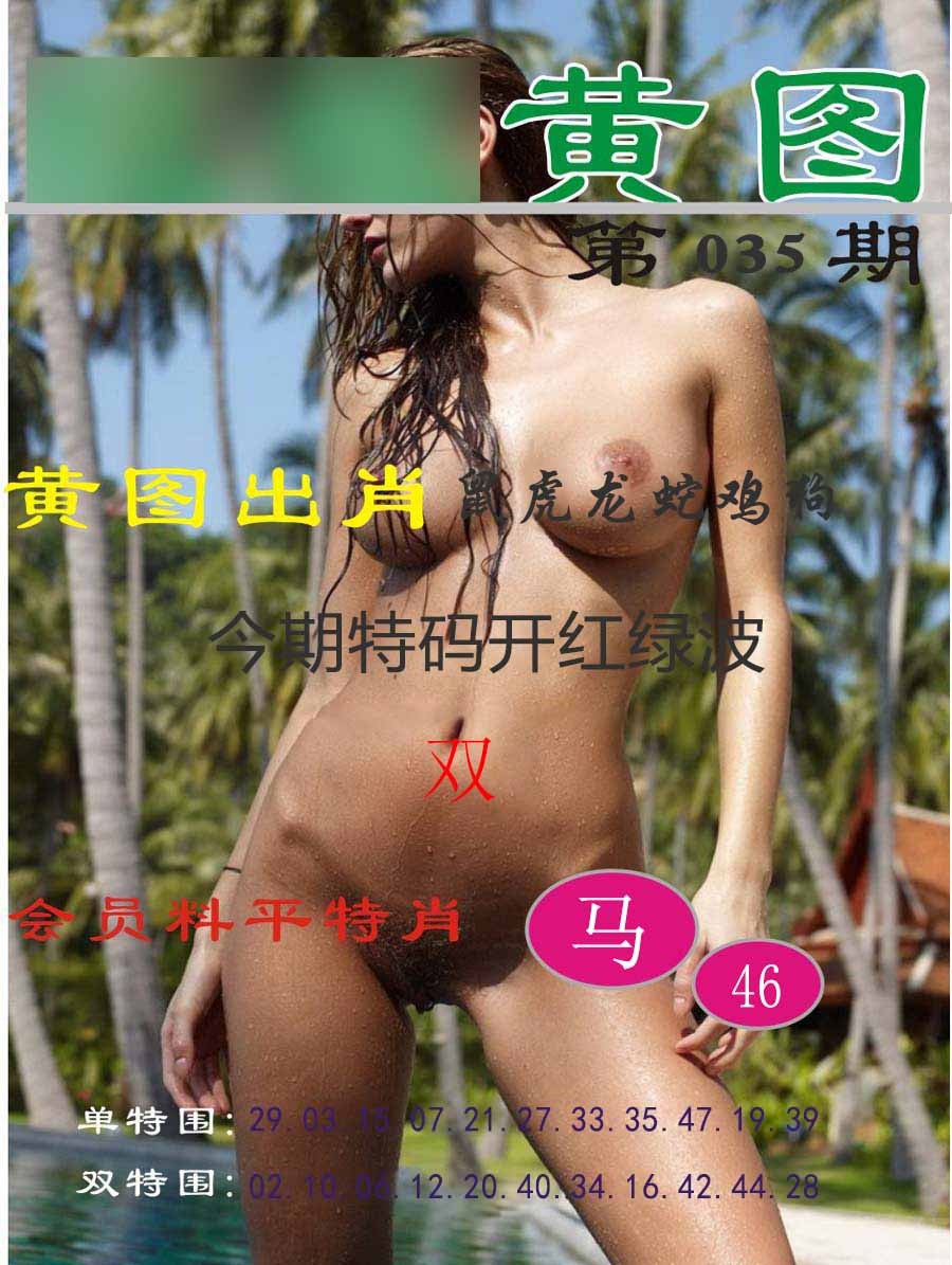 035期黄图[图]